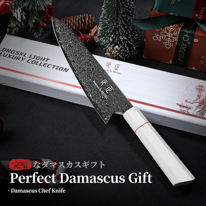 DRGSKL Damascus Fillet Knife 7 Inch - VG10 Razor Sharp Slicing Knife