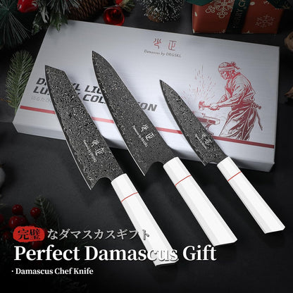 DRGSKL Damascus Fillet Knife 7 Inch - VG10 Razor Sharp Slicing Knife
