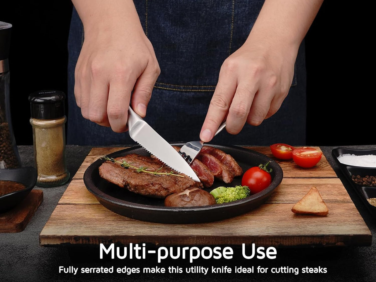 Utility Knife, 4 Inch Serrated Paring Knife with Super Sharp High Carbon Stainless Steel Blade for Fruit Vegetable Cutting Peeling Slicing – Silver