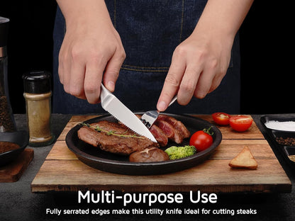 Utility Knife, 4 Inch Serrated Paring Knife with Super Sharp High Carbon Stainless Steel Blade for Fruit Vegetable Cutting Peeling Slicing – Silver