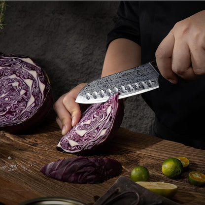 FANTECK 5 Inch Utility Knife, Japanese Damascus VG10 67 Layer Kitchen Fruit Paring Chef Utility Knives -Blue G10 Handle,-Razor Sharp, Stain & Corrosion Resistant, & Awesome Edge Retention