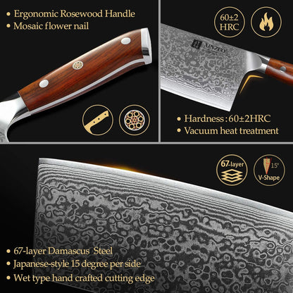 10 Inch Damascus Chef Knife Kitchen Knife Sharp Gyuto Knife Stainless Steel Fashion Professional Chef's Knife with Rosewood Handle