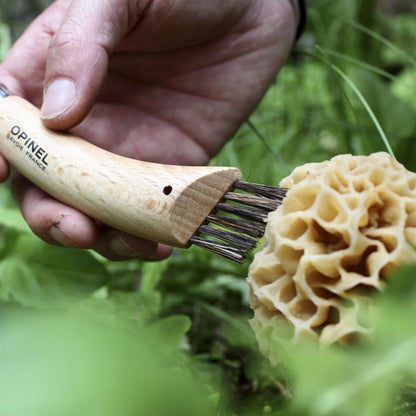 No. 08 Mushroom Knife, Curved Stainless Steel Blade, Brush