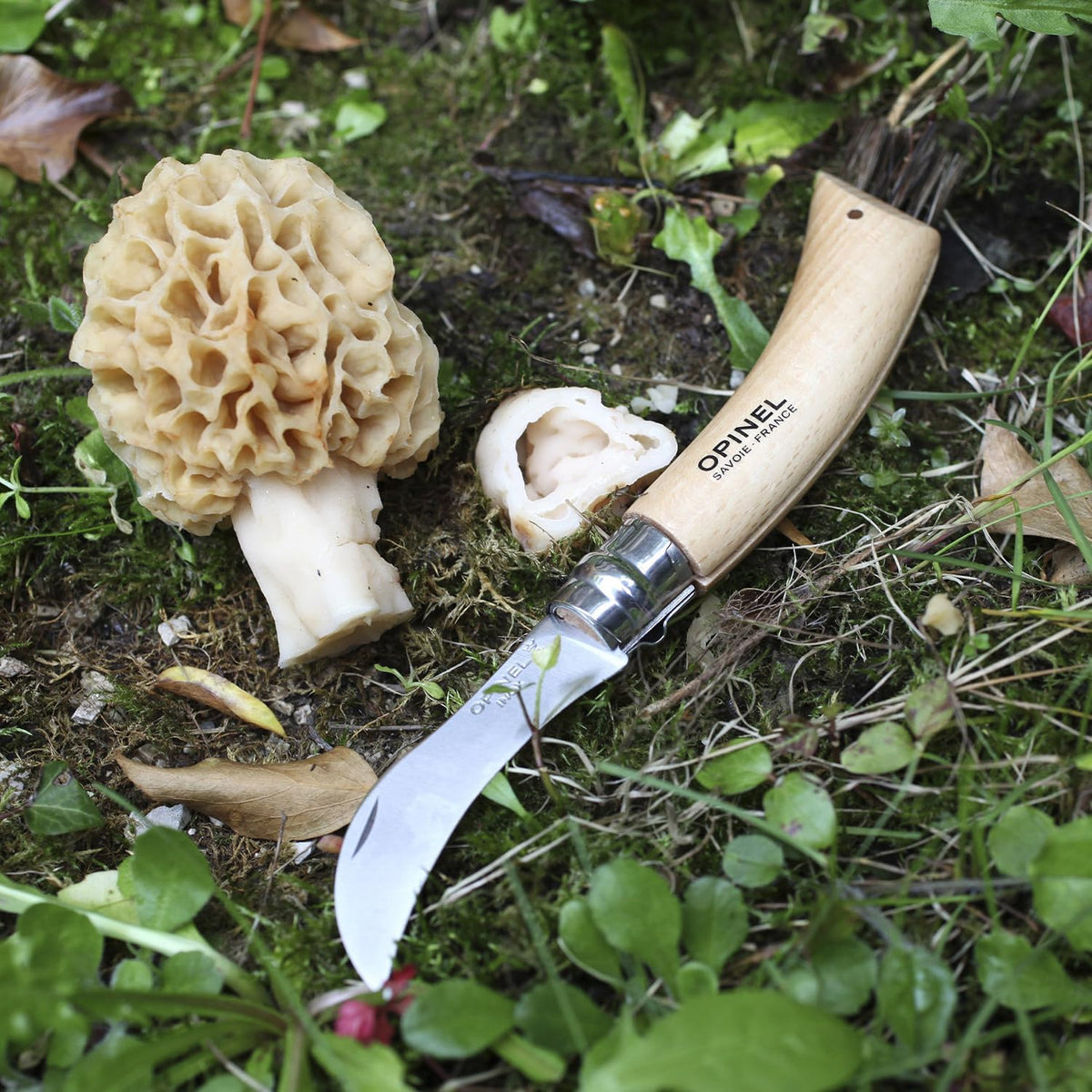No. 08 Mushroom Knife, Curved Stainless Steel Blade, Brush
