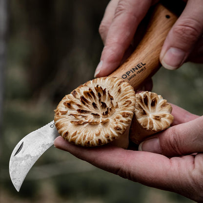 No. 08 Mushroom Knife, Curved Stainless Steel Blade, Brush
