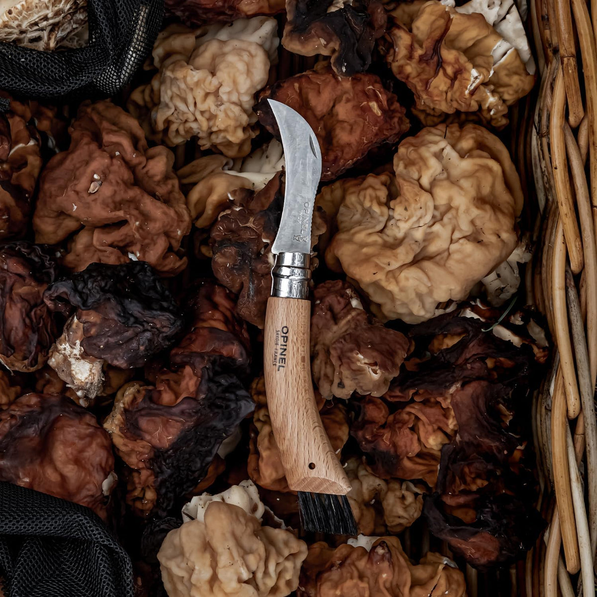 No. 08 Mushroom Knife, Curved Stainless Steel Blade, Brush