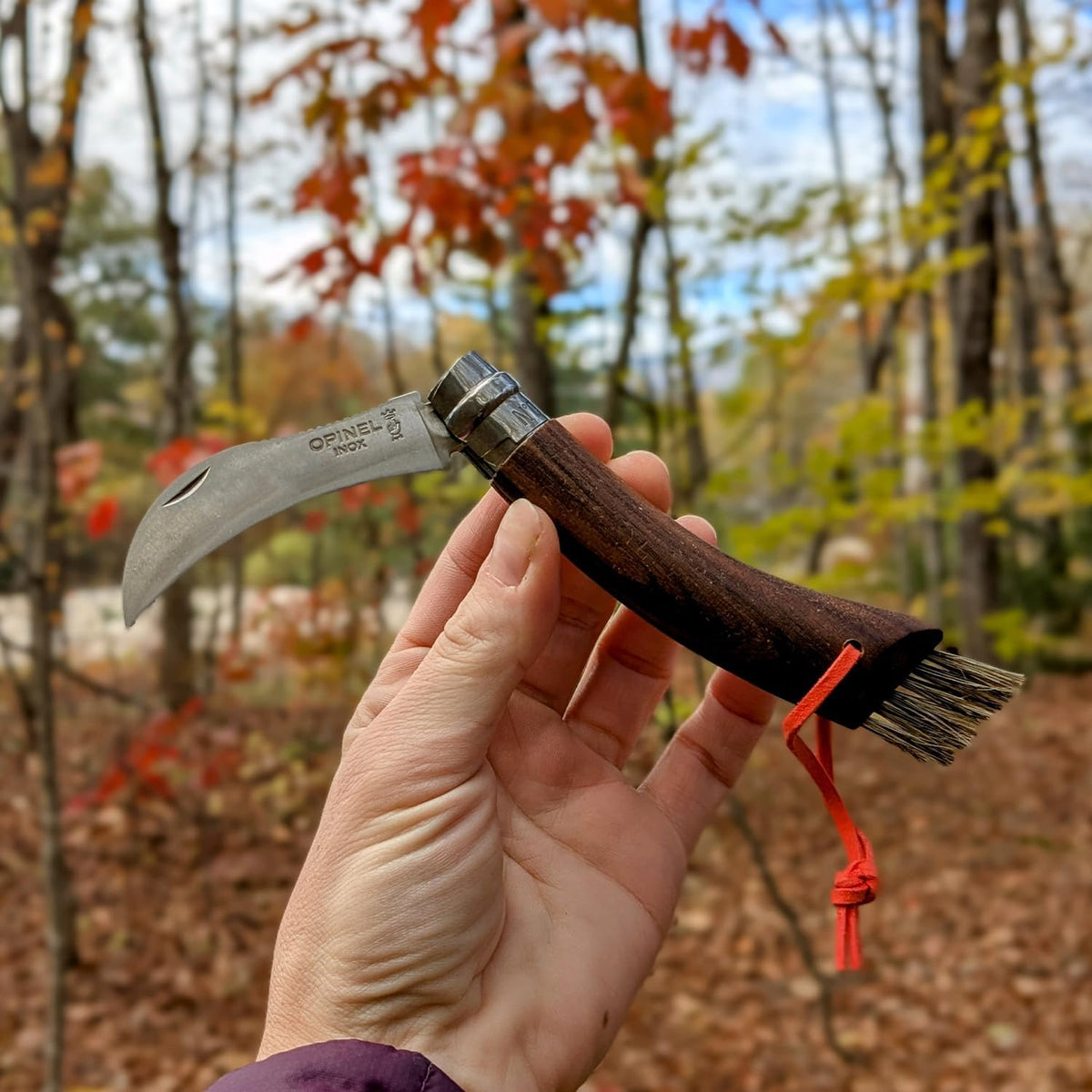 No. 08 Mushroom Knife, Curved Stainless Steel Blade, Brush