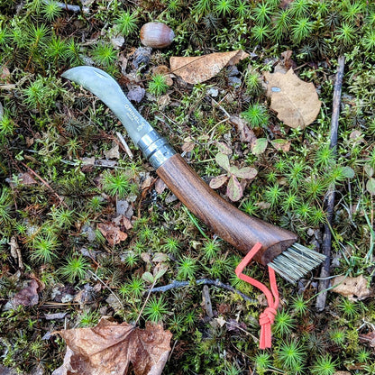 No. 08 Mushroom Knife, Curved Stainless Steel Blade, Brush