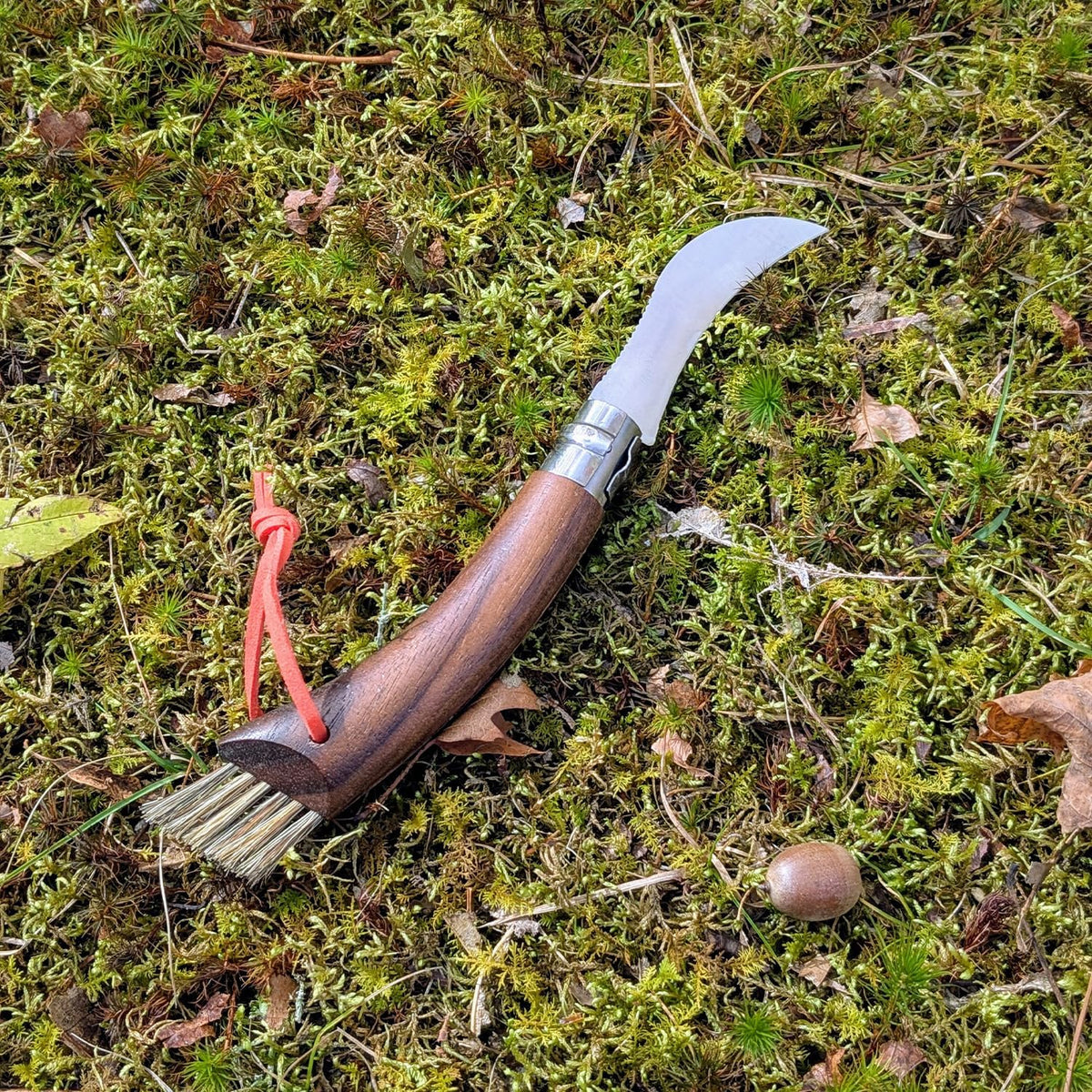 No. 08 Mushroom Knife, Curved Stainless Steel Blade, Brush