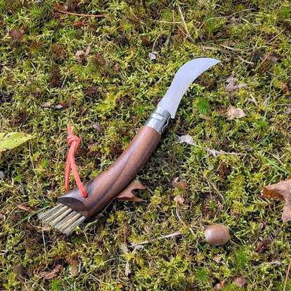 No. 08 Mushroom Knife, Curved Stainless Steel Blade, Brush