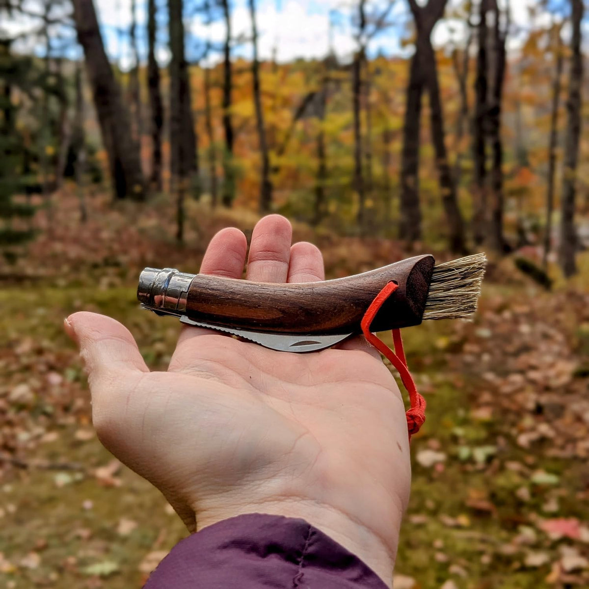 No. 08 Mushroom Knife, Curved Stainless Steel Blade, Brush