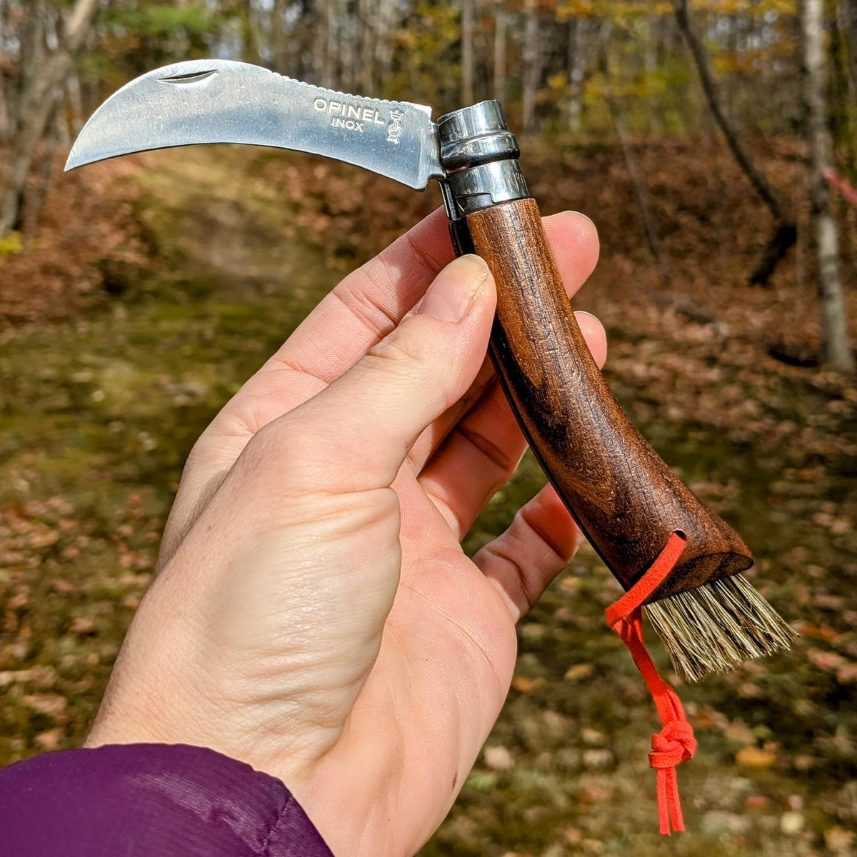 No. 08 Mushroom Knife, Curved Stainless Steel Blade, Brush