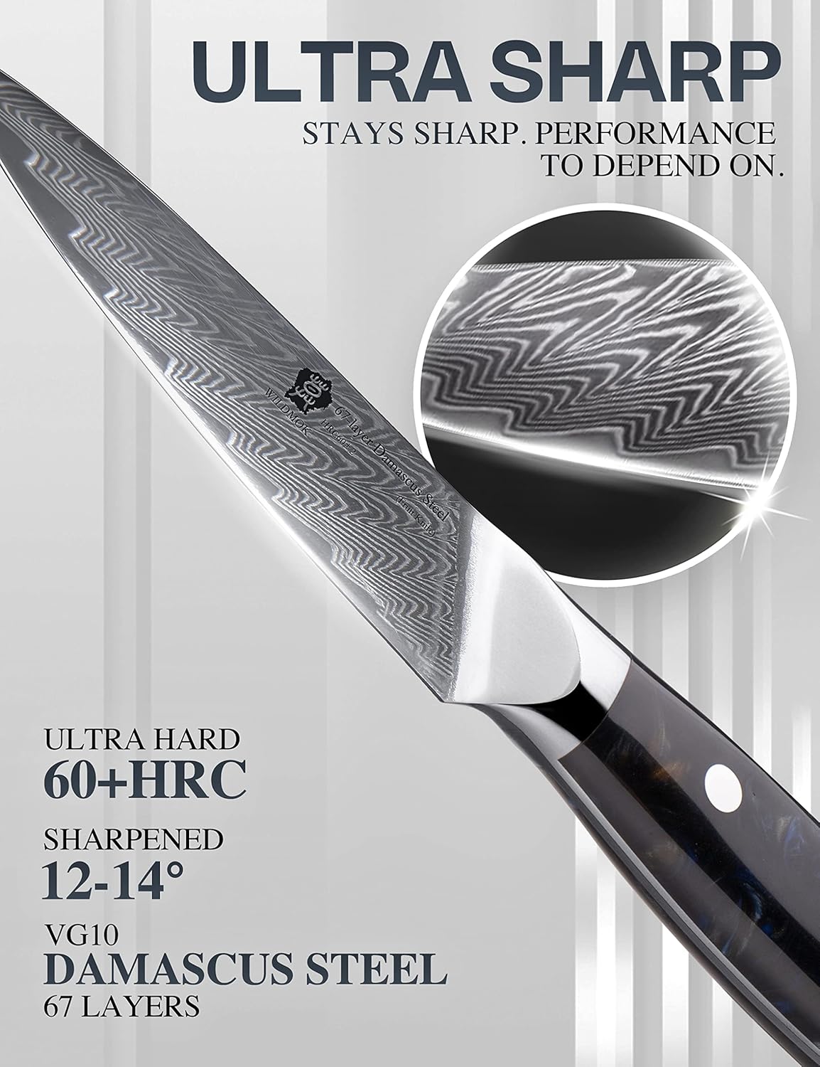 Damascus Paring Knife, 3.5 Inch Japanese 67-layers Damascus Steel, Professional Paring Knife, Ultra Sharp Blade Cooking Utility Knife, Full Tang Ergonomic Resin Handle