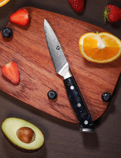 Damascus Paring Knife, 3.5 Inch Japanese 67-layers Damascus Steel, Professional Paring Knife, Ultra Sharp Blade Cooking Utility Knife, Full Tang Ergonomic Resin Handle