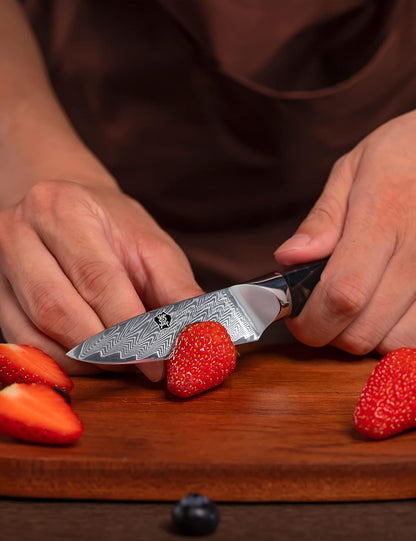 Damascus Paring Knife, 3.5 Inch Japanese 67-layers Damascus Steel, Professional Paring Knife, Ultra Sharp Blade Cooking Utility Knife, Full Tang Ergonomic Resin Handle