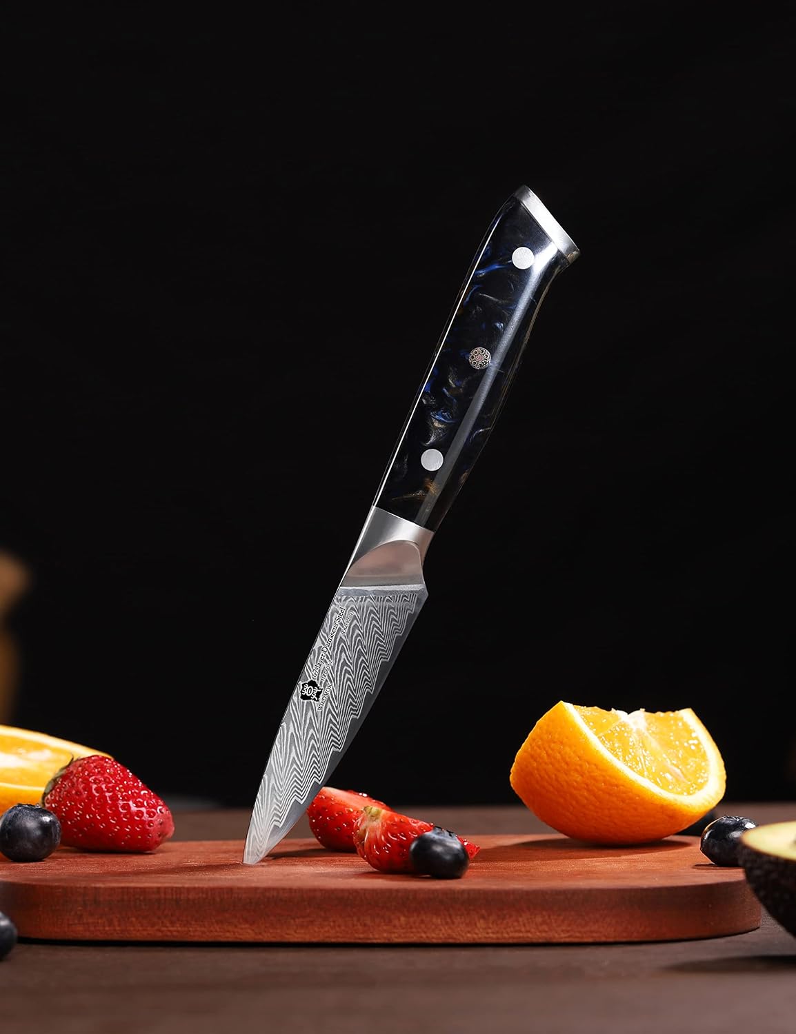 Damascus Paring Knife, 3.5 Inch Japanese 67-layers Damascus Steel, Professional Paring Knife, Ultra Sharp Blade Cooking Utility Knife, Full Tang Ergonomic Resin Handle