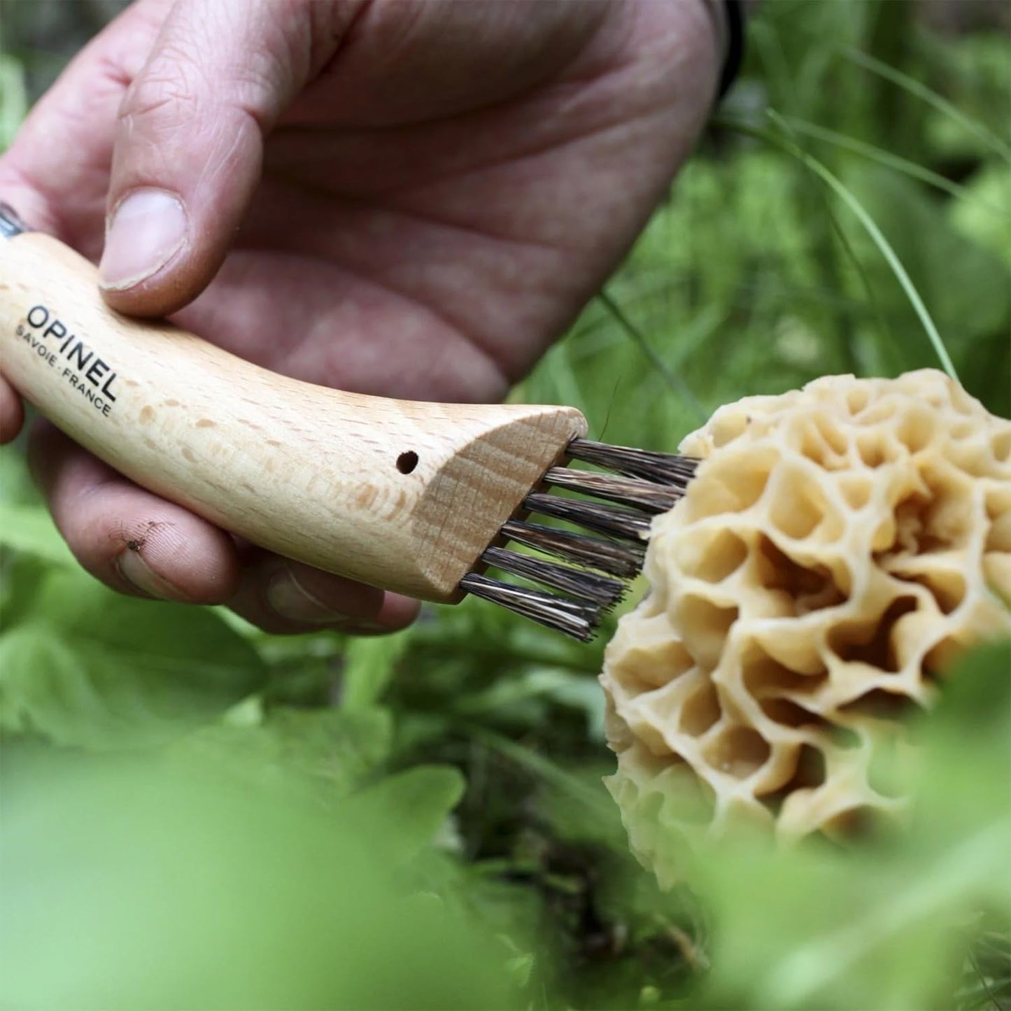 No. 08 Mushroom Knife – Pick + Clean Mushrooms, Beechwood Handle, Integrated Brush, Curved Sandvik Steel Blade, Made in France