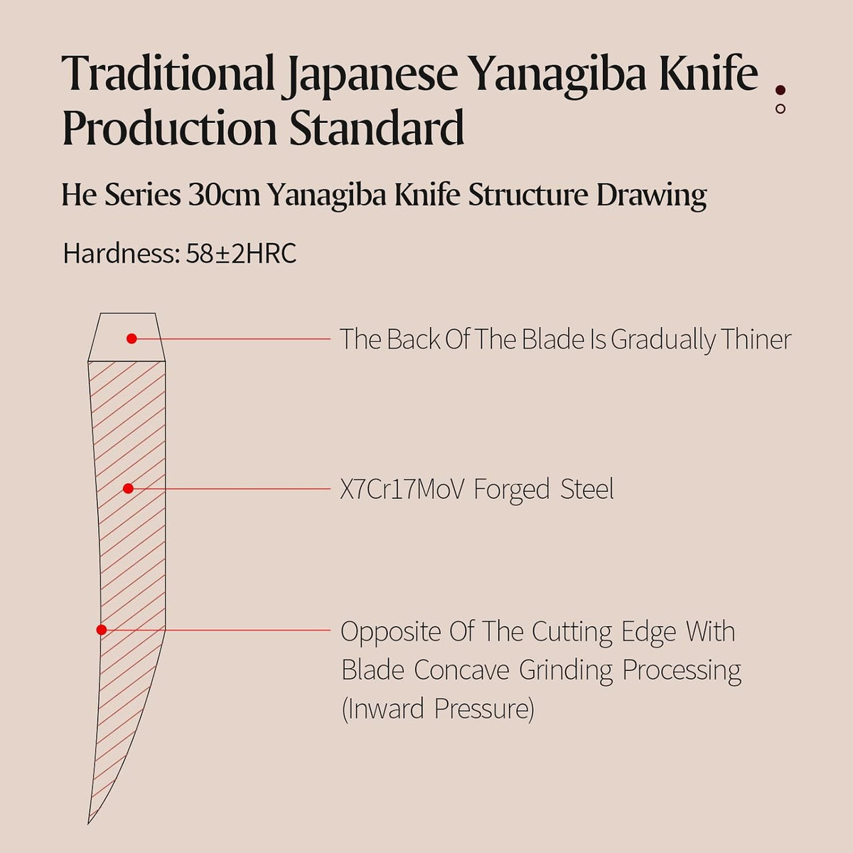 11 Inch Yanagiba Knife X7Cr17MoV Forged Steel, Sashimi Sushi Knife Stainless Steel, Single-edged Blade, Chef Knife for Fish Filleting,Slicing-Ebony Wood Handle-Betula Wooden Sheath